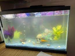 Complete Starter Aquarium Kit — Tank, Filter, Lights — photo 3