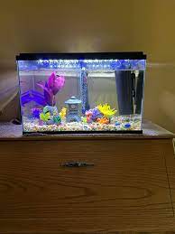 Complete Starter Aquarium Kit — Tank, Filter, Lights — photo 4